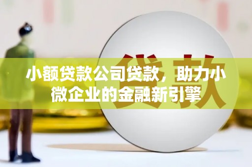 丹寨小额贷款公司贷款，助力小微企业的金融新引擎