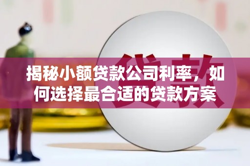 甘肃揭秘小额贷款公司利率，如何选择最合适的贷款方案