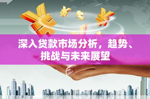白河深入贷款市场分析，趋势、挑战与未来展望