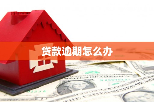新沂贷款逾期怎么办