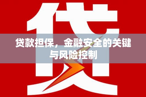 新界贷款担保，金融安全的关键与风险控制