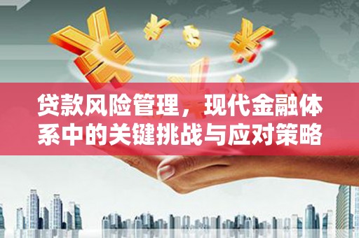 烈屿贷款风险管理，现代金融体系中的关键挑战与应对策略