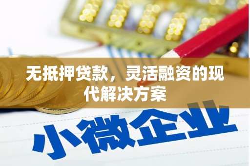 大村无抵押贷款，灵活融资的现代解决方案