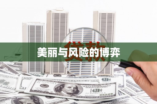 哈尔滨美丽与风险的博弈