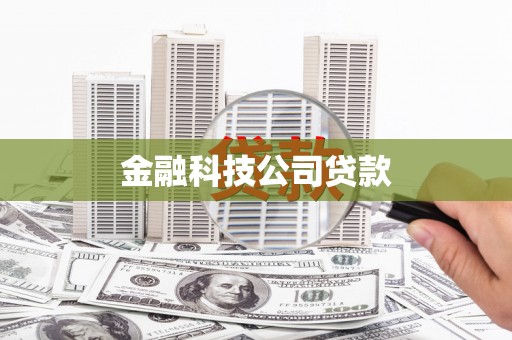 郸城金融科技公司贷款