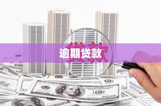 普格逾期贷款