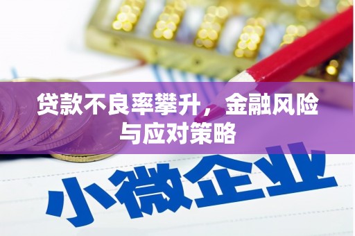 麻江贷款不良率攀升，金融风险与应对策略