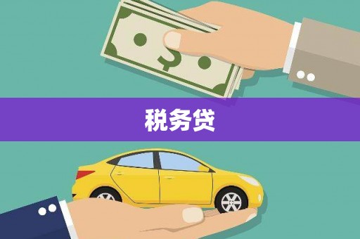 海安税务贷